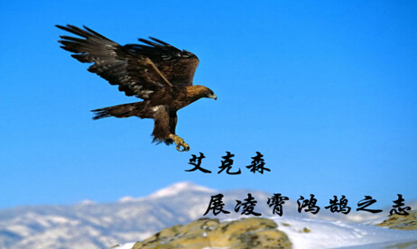 艾克森電伴熱帶